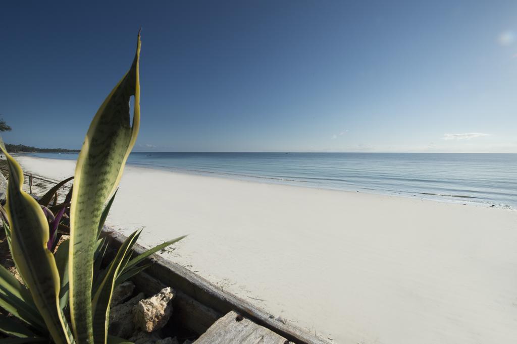 Uroa Bay Beach Resort Zanzibar Eksteriør billede